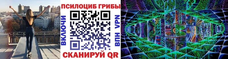 наркошоп  Олонец  blacksprut рабочий сайт  Галлюциногенные грибы Psilocybine cubensis 